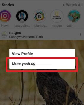 ztlumit příběh Instagramu v telefonu Android